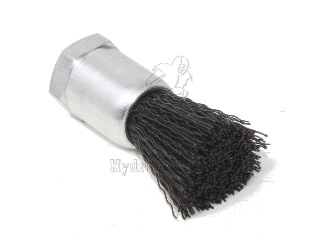 洋書 Brush With Gondwana 洋書 Brush With Gondwana Brush with Gondwana: The Botanical