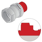 BSPP cylindrique avec cône 60°