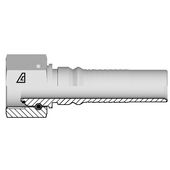 Femelle BSP 60° avec O-ring