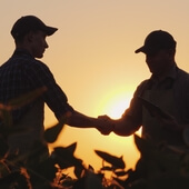 Technico-commercial itinérant (H/F) - CDI