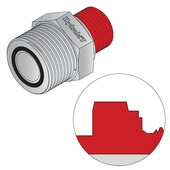 BSPP cylindrique cône 60°