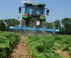 Weeder Pilot