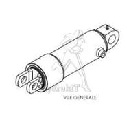 Verin assistance relevage - simple effet Ø60 course 195mm EAF 340