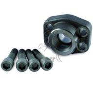 Einschraubflansch 3/4 - SAE 6000