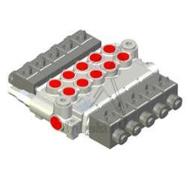 Monoblockventi 50l/min, elektrisch gesteuert S/W 5xDW mit DBV