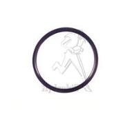 O RING  SQUARE FLANGE 51X51