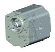 Moteur engrenages GR2 11 cm3 - bidirectionnel - flasque vis traversant arbre cannelé DIN5482 Z9