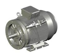 45 kW Drehstrommotor 400/690 V - B35 - IE3