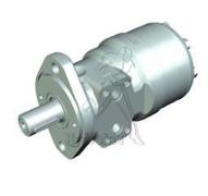 Moteur WP 80cc - arbre cylindrique Ø25.4mm - Flasque SAEA 2 trous - G1/2 - Série WP155