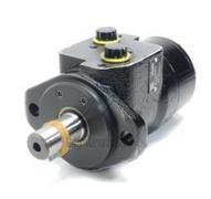 Moteur WP 240cc - arbre cylindrique Ø25mm - Flasque SAEA 2 trous - G1/2 - Série WP155