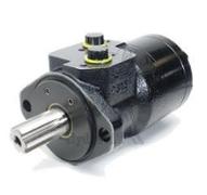 Moteur WR 322cc - arbre 6 dents SAE6B - Flasque SAEA 2 trous - G1/2 - Série WR255