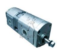 Hydraulic pump double Bosch - SDF