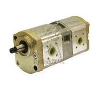 Pompe Fendt série LS/GT 16+11cc rotation gauche