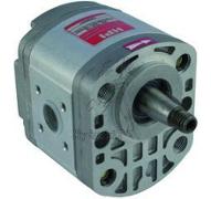 Pompe Fendt D1 1D 1E 1Z Fix2E F231GT F231GT Kommunal