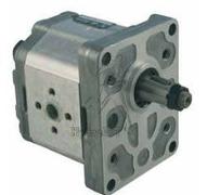 SAUER PUMPE 11CC KONUS WELLE 1/8 FÜR LANDINI SCHLEPPER