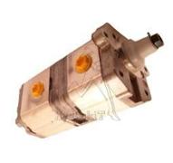 SAUER DOPPELPUMPE 6+14CC KONUS WELLE 1/8 FÜR LANDINI GLOBUS / Ref Landini 3661228M91 3660498M91