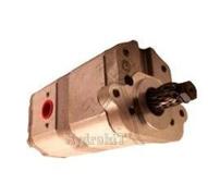 SAUER DOPPELPUMPE 8+14CC KONUS WELLE 1/8 FÜR LANDINI GLOBUS/Ref Landini 3652099M91 3652099M92