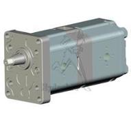 Pompe Massey Fergusson 1114