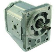 Pompe Same série Tiger