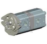 POMPE 17+14 CC ROTG SAE A 11 DENTS