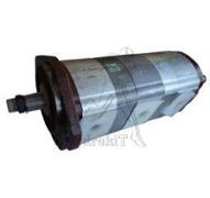 Pompe Adaptable JCB 801 801.4 801.5 flasque SAE A 4+6+6 rot D