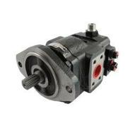 Pompe hydraulique Matbro TR250 TS350 principale fonte avec valve 44cc