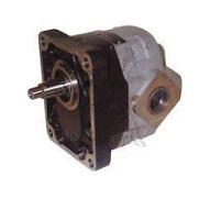 Merlo P26.6LPT P26.6SPT P26.6EVT P28.7EVT P30.7 Hydraulikpum