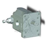 POMPE GR2 6CM3 ROTD FLASQUE ITALIEN