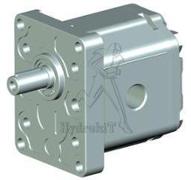 POMPE GR2 6CM3 ROTG FLASQUE ITALIEN