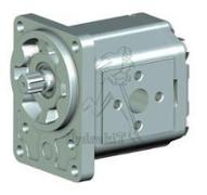 POMPE GR2 17CM3 ROTD FLASQUE DIN