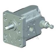 Zahnradpumpe - BG2 - 17 cc - Konus 1/8 - italienischer Flans