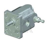 POMPE GR2 17CM3 ROTG FLASQUE ITALIE