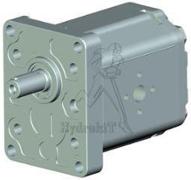 POMPE GR2 22CM3 ROTD FLASQUE ITALIE