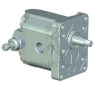 Zahnradpumpe - BG2 - 25 cc - Konus 1/8 - italienischer Flansch - Rechtsdrehung