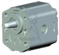 Zahnradpumpe - BG2 - 25 cc - 1/5 konus -  gehender Gewindeflansch - Rechtslauf