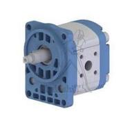 POMPE GR2 30CM3 ROTD FLASQUE DIN