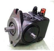 Echange standard pompe Rexroth - A11VG19 R909600621 ROPA