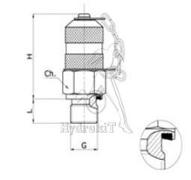 PRISE DE PRESSION M10X125 JOINT ED