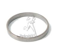 SEGMENT DE PISTON H1B110 51#110