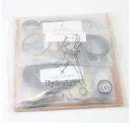 Pochette de joints MPT046 Danfoss 4510018