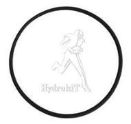 O-Ring 94,85 x 3,53 FPM 75