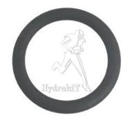 O-Ring 16 x 2,5  FPM 75