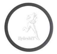 O-Ring 38 x 3 FPM 75