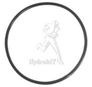 O-Ring 52 x 2  FPM 75