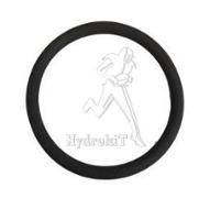 O-Ring 53,34x5,33 FPM-75