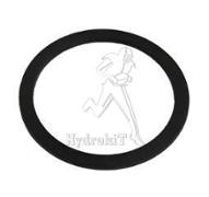 Gleitring ERM für NHB