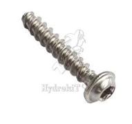 Linsenschraube für Kunststoff