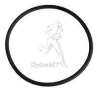 O-Ring Di=55,2 S=2,6