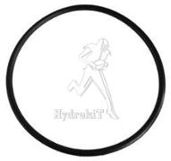 O-Ring DI=78,9 S=3,5