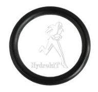 O-Ring